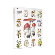 Pussel Mushrooms 1000 bitar Pomegranate
